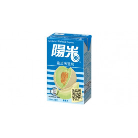 Yeung Gwong Hi C Melon Flavoured Soya Milk 250ml